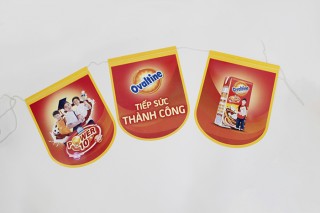 Flag lines - Cờ dây